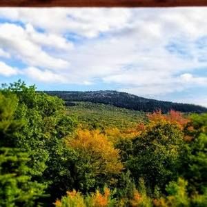 Meet your Posher, Sandy